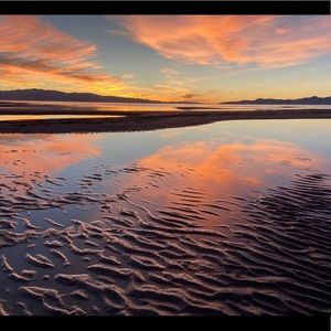 Meet your Posher, Zoe